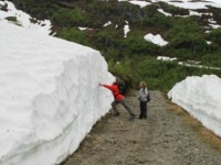 Wanderung durch das Flåmtal (07. Juli)