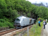 Wanderung durch das Flåmtal (07. Juli)