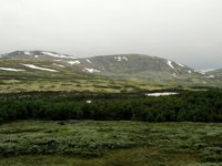 Über die Landschaftsroute Rondane nach Lillehammer (16. Juli)