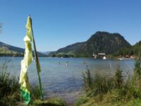 Kletterkurs am Badesee (8. August)