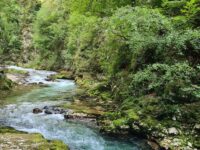 Wanderung durch die Vintgar Klamm (30. August)